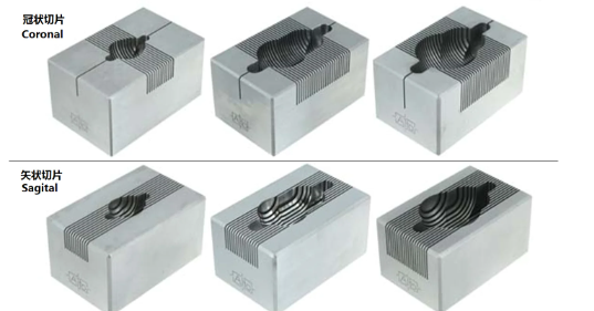 腦模具150-300G大鼠，冠狀，0.5MM